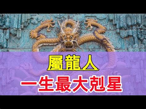 屬龍適合的生肖|屬龍